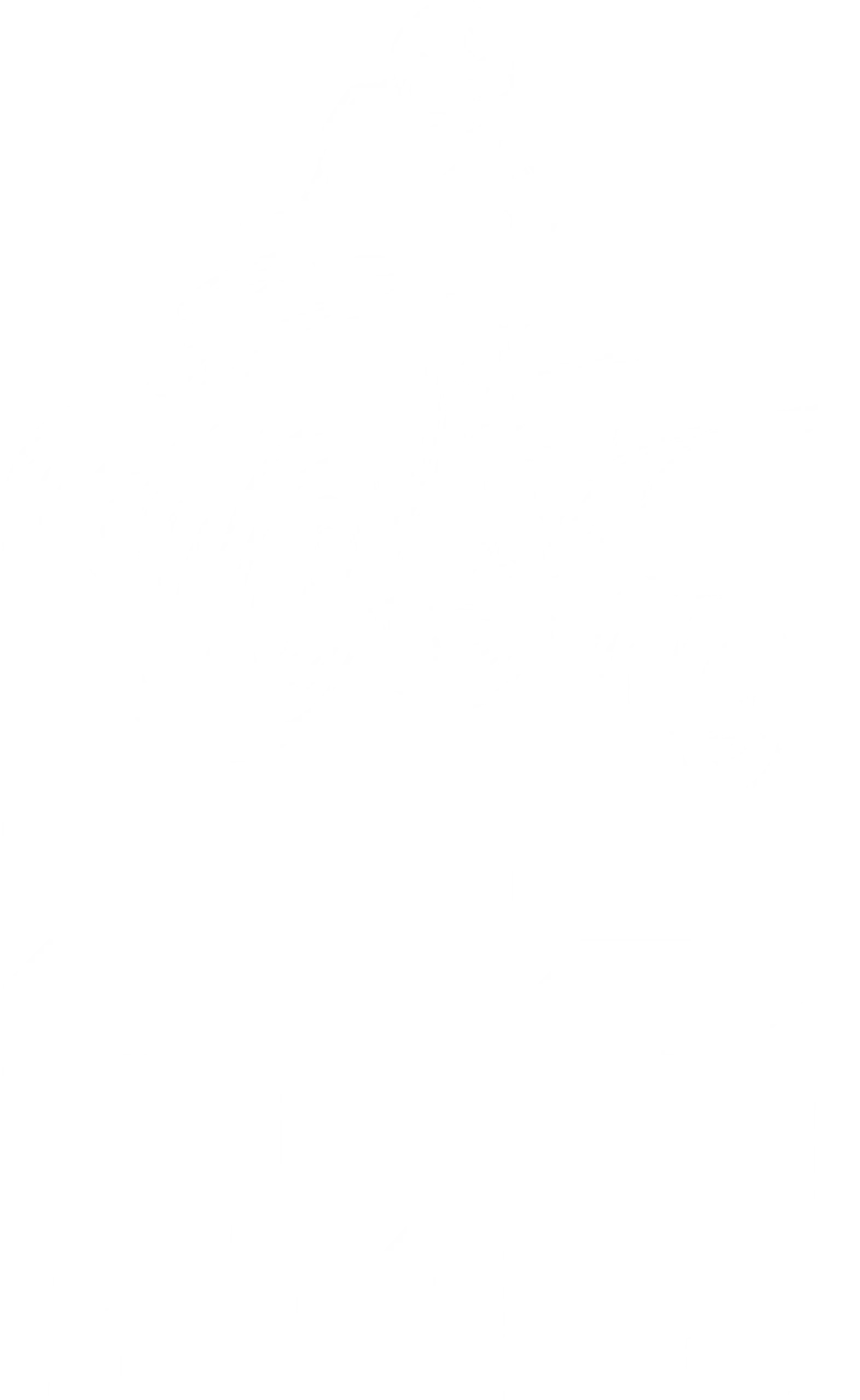 logo-port-25